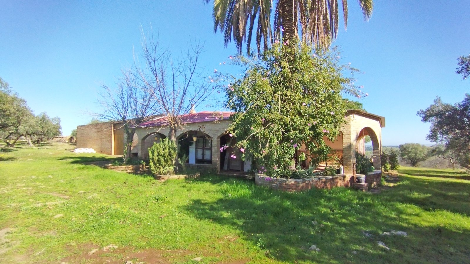 2602 Andalusia, Huelva, Villarossa, finca, guestapartment, pool, stable, for sale