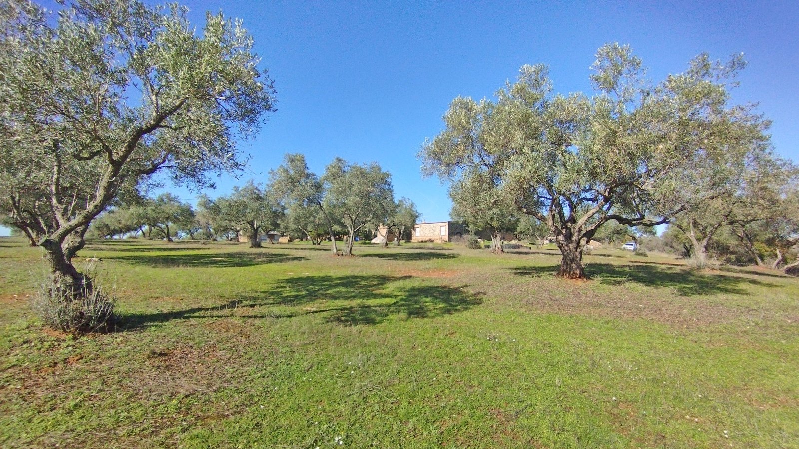 2602 Andalusia, Huelva, Villarossa, finca, guestapartment, pool, stable, for sale