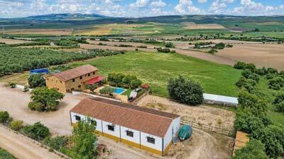 2607SK Andalusia, Arcos de la Frontera, finca, horse stable, riding arena for sale