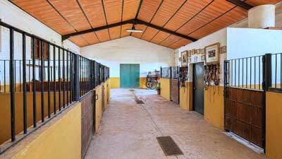 2607SK Andalusia, Arcos de la Frontera, finca, horse stable, riding arena for sale
