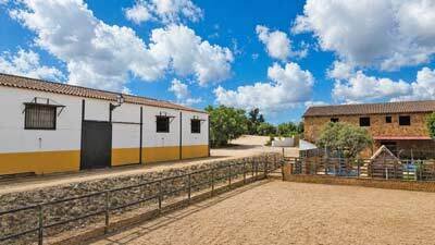 2607SK Andalusia, Arcos de la Frontera, finca, horse stable, riding arena for sale