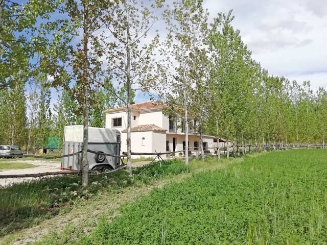 19021 Andalusia, Granada, Guadix, country estate, pool, horse stable for sale