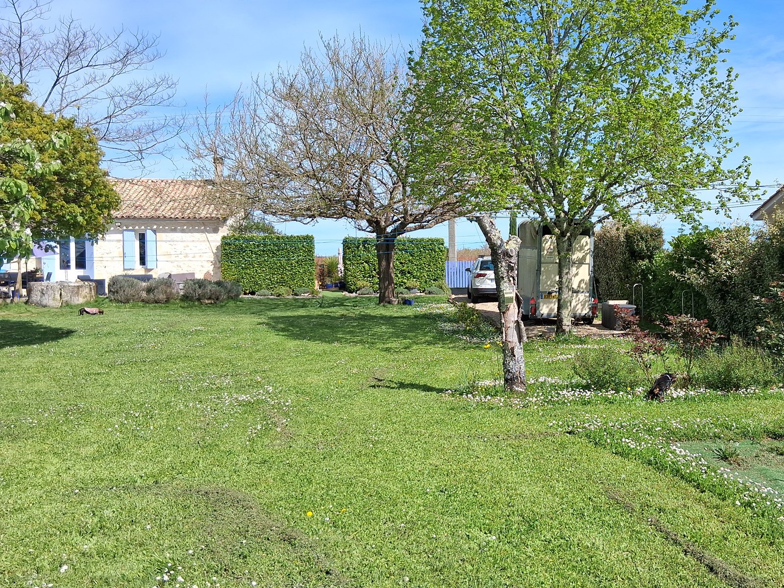 2609 Southwest France, Saint-Emilion, house for horse lovers for sale 2609 Southwest France, Saint-Emilion, house for horse lovers for sale