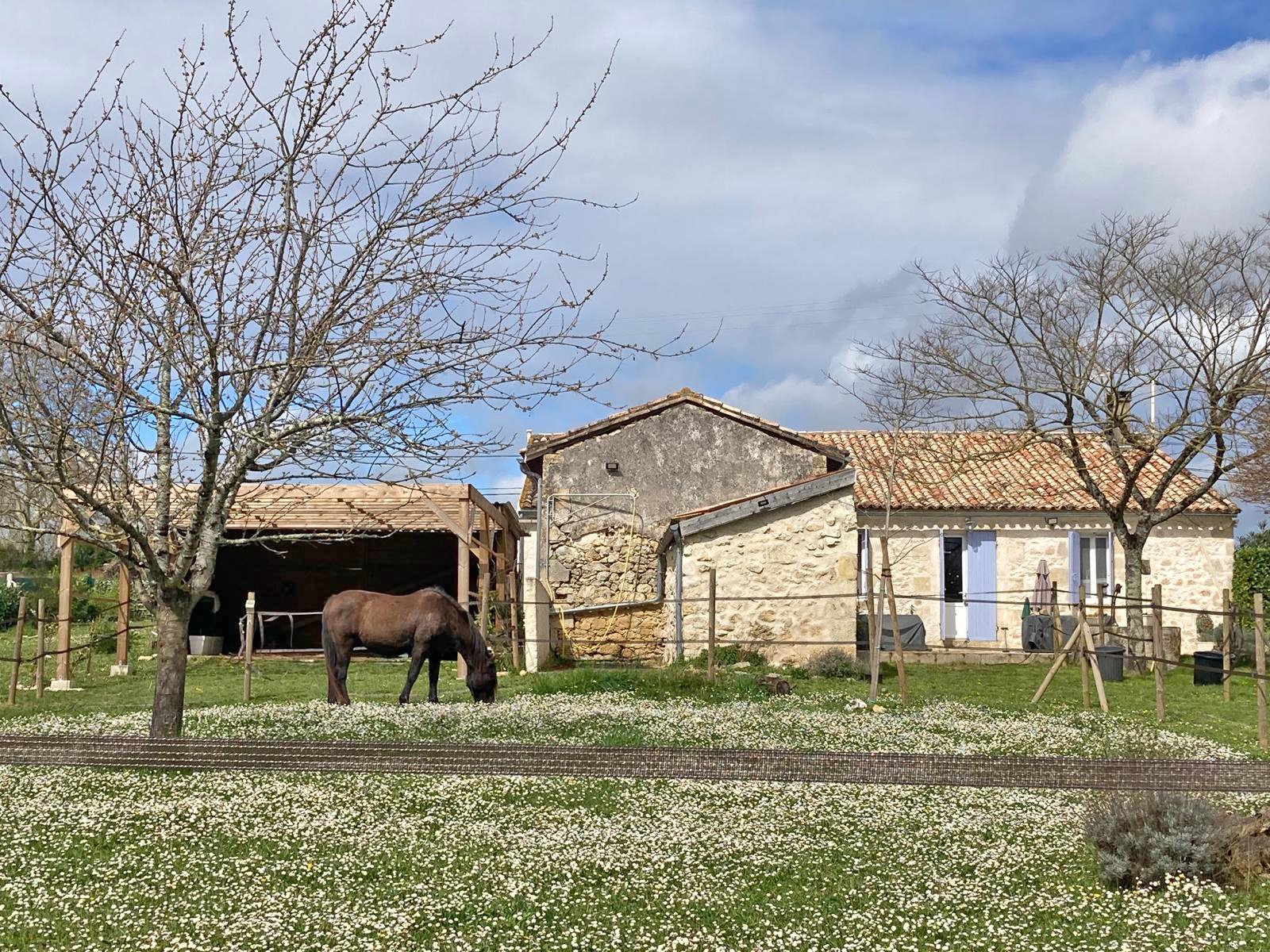 Saint-Émilion : Southwest France, near Saint-Émilion, romantic paradies for horselovers for sale Saint-Émilion : Southwest France, near Saint-Émilion, romantic paradies for horselovers for sale