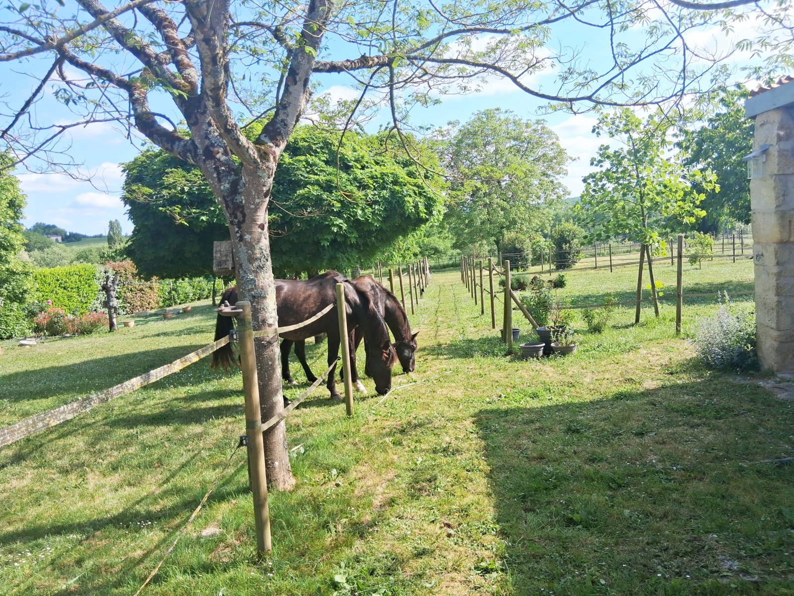 2609 Southwest France, Saint-Emilion, house for horse lovers for sale 2609 Southwest France, Saint-Emilion, house for horse lovers for sale