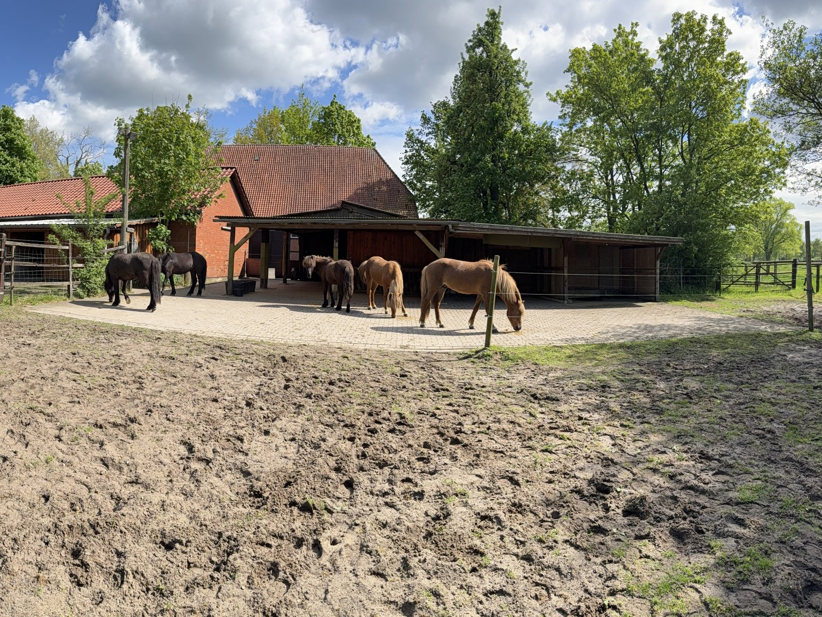 2611-1 Hamburg, equestrian property, riding estate, house with horsestable for sale 2611-1 Hamburg, equestrian property, riding estate, house with horsestable for sale