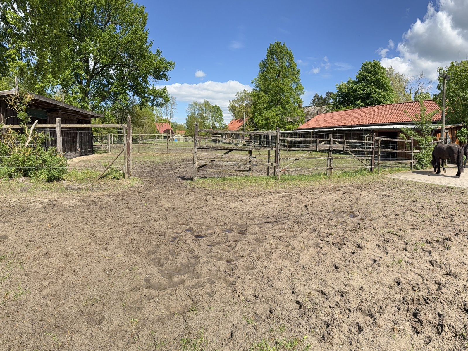 2611-1 Hamburg, equestrian property, riding estate, house with horsestable for sale 2611-1 Hamburg, equestrian property, riding estate, house with horsestable for sale