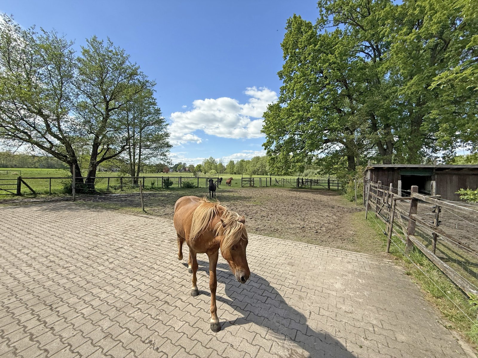 2611-1 Hamburg, equestrian property, riding estate, house with horsestable for sale 2611-1 Hamburg, equestrian property, riding estate, house with horsestable for sale