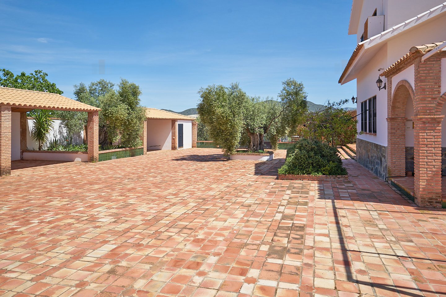 2614KN Andalusia, province of Cadiz, Olvera, finca, pool, olives for sale