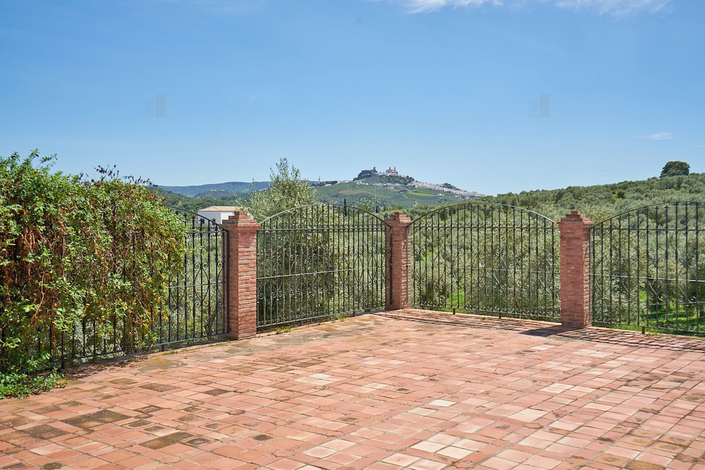 2614KN Andalusia, province of Cadiz, Olvera, finca, pool, olives for sale
