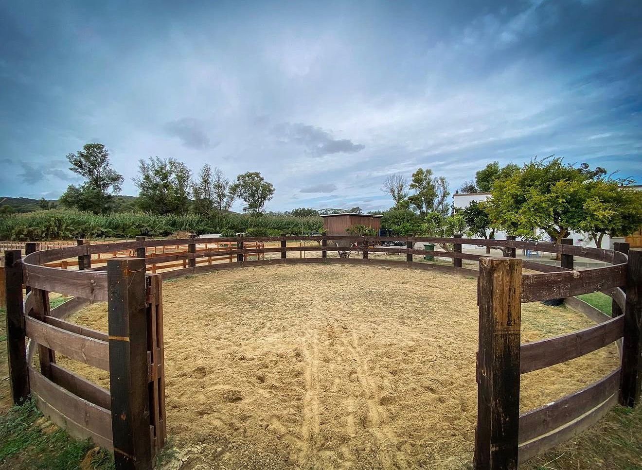 2616SK Andalusia, Sotogrande, riding stable, equestrian center for sale 2616SK Andalusia, Sotogrande, riding stable, equestrian center for sale