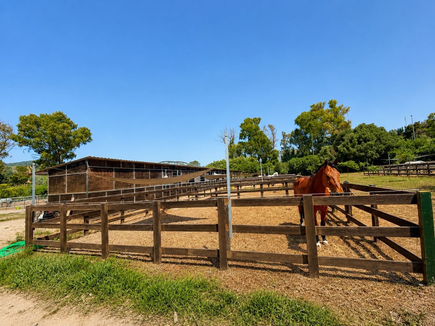 2616SK Andalusia, Sotogrande, riding stable, equestrian center for sale 2616SK Andalusia, Sotogrande, riding stable, equestrian center for sale