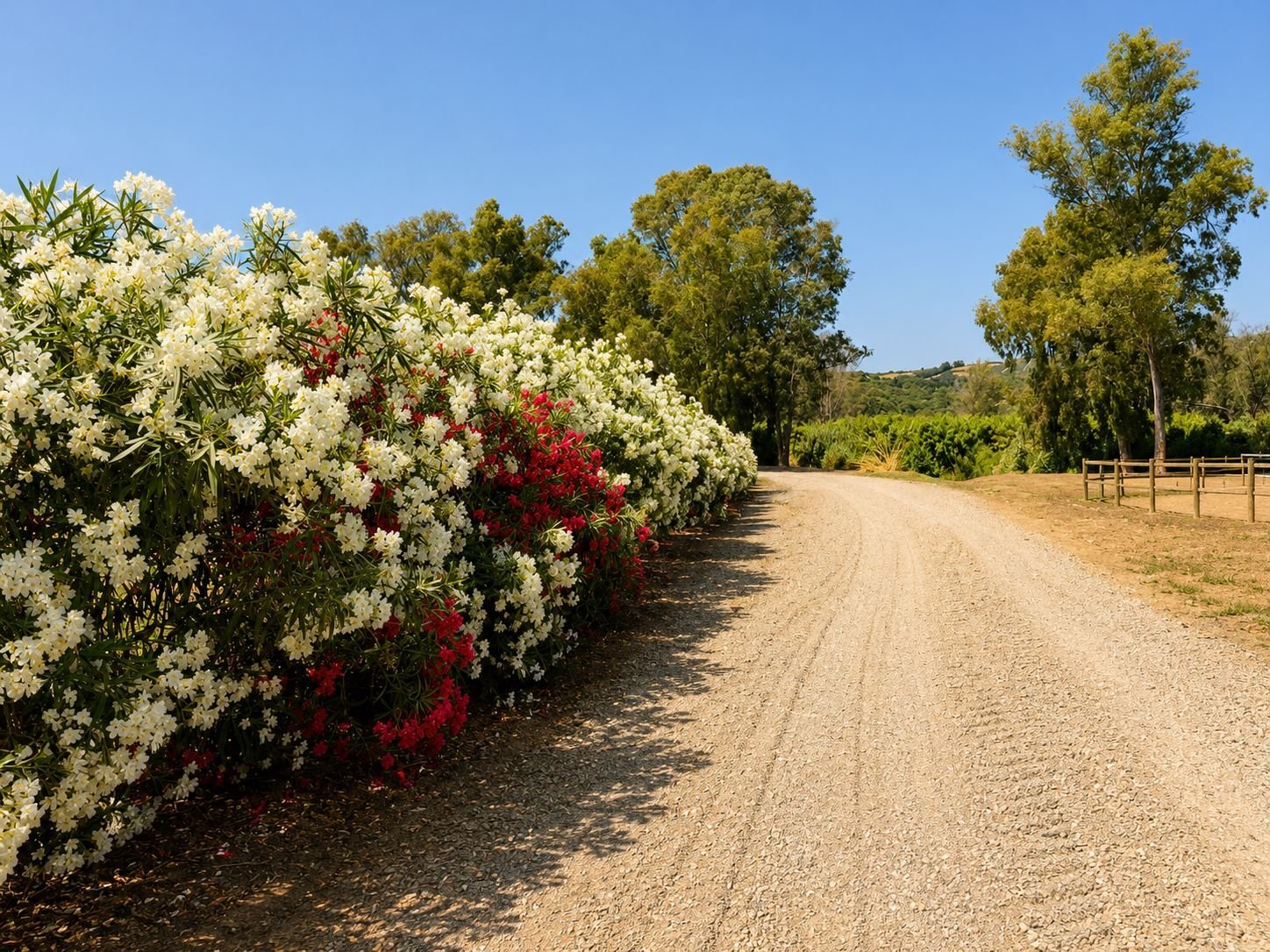 2616SK Andalusia, Sotogrande, riding stable, equestrian center for sale 2616SK Andalusia, Sotogrande, riding stable, equestrian center for sale