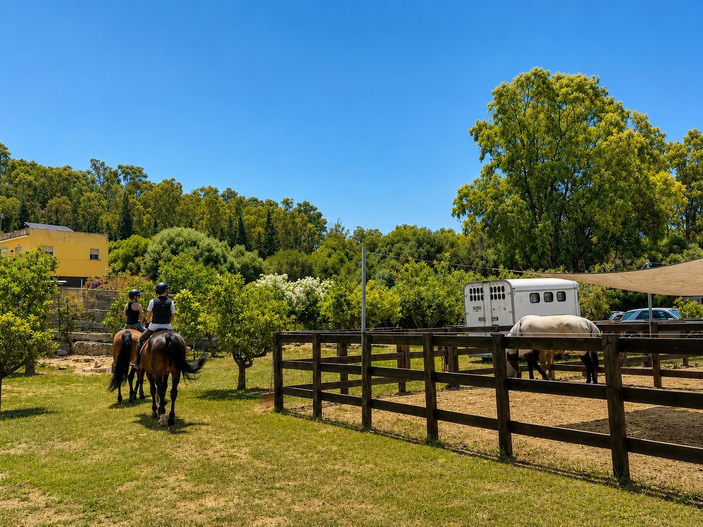 2616SK Andalusia, Sotogrande, riding stable, equestrian center for sale 2616SK Andalusia, Sotogrande, riding stable, equestrian center for sale