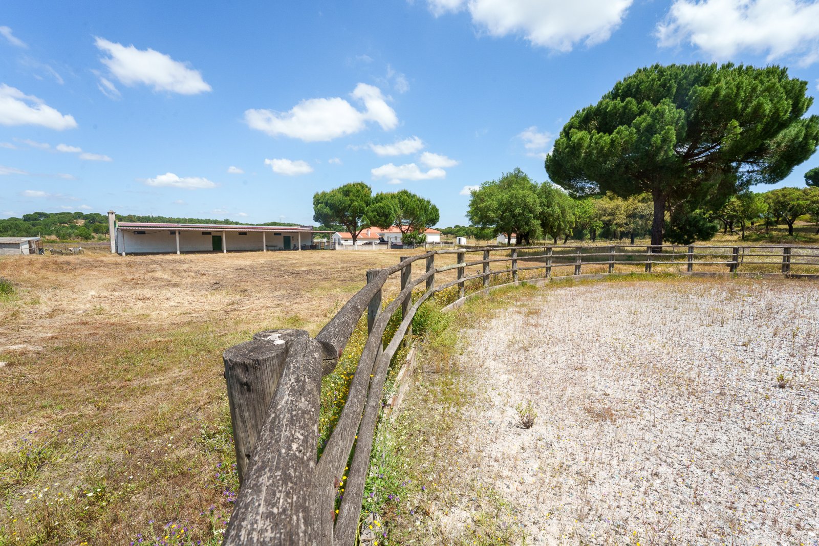 2615 Portugal, Coruche, Couco, finca, horse farm, country property for sale 2615 Portugal, Coruche, Couco, finca, horse farm, country property for sale