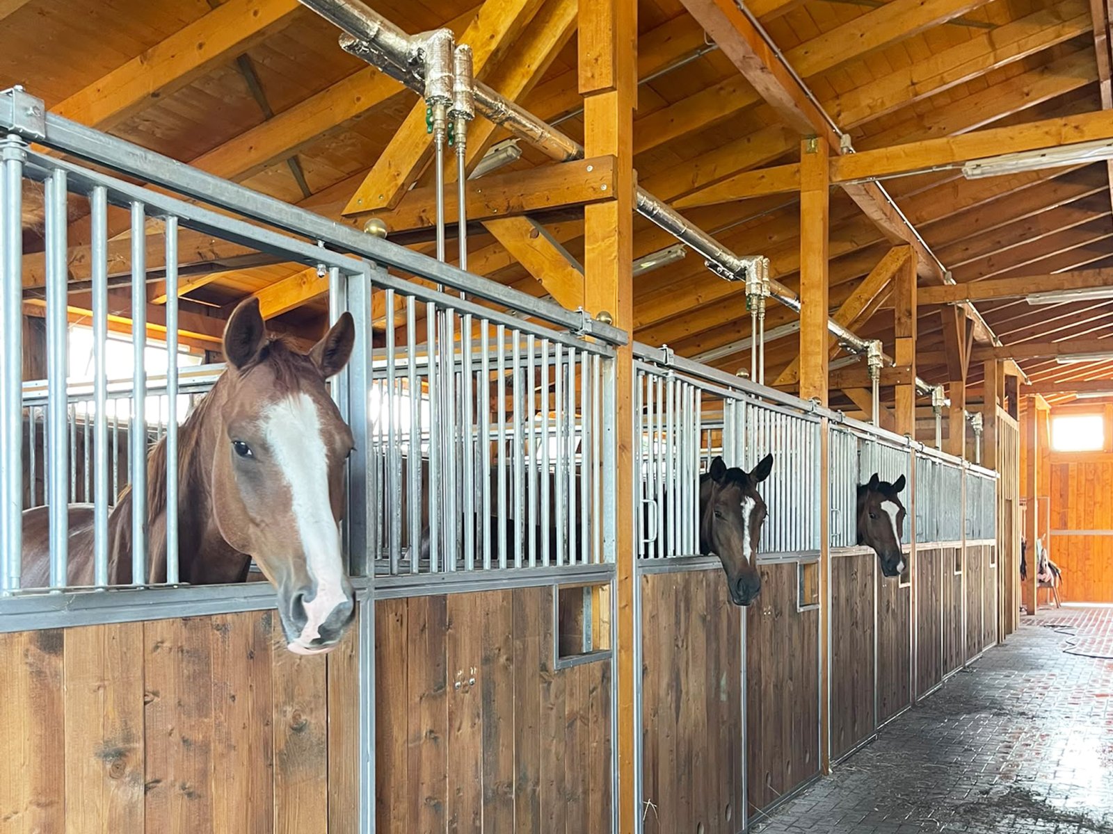 2622 Germany, Brandenburg, Berlin, Scharmützelsee, equestrian property, country estate, equestrian estate for sale