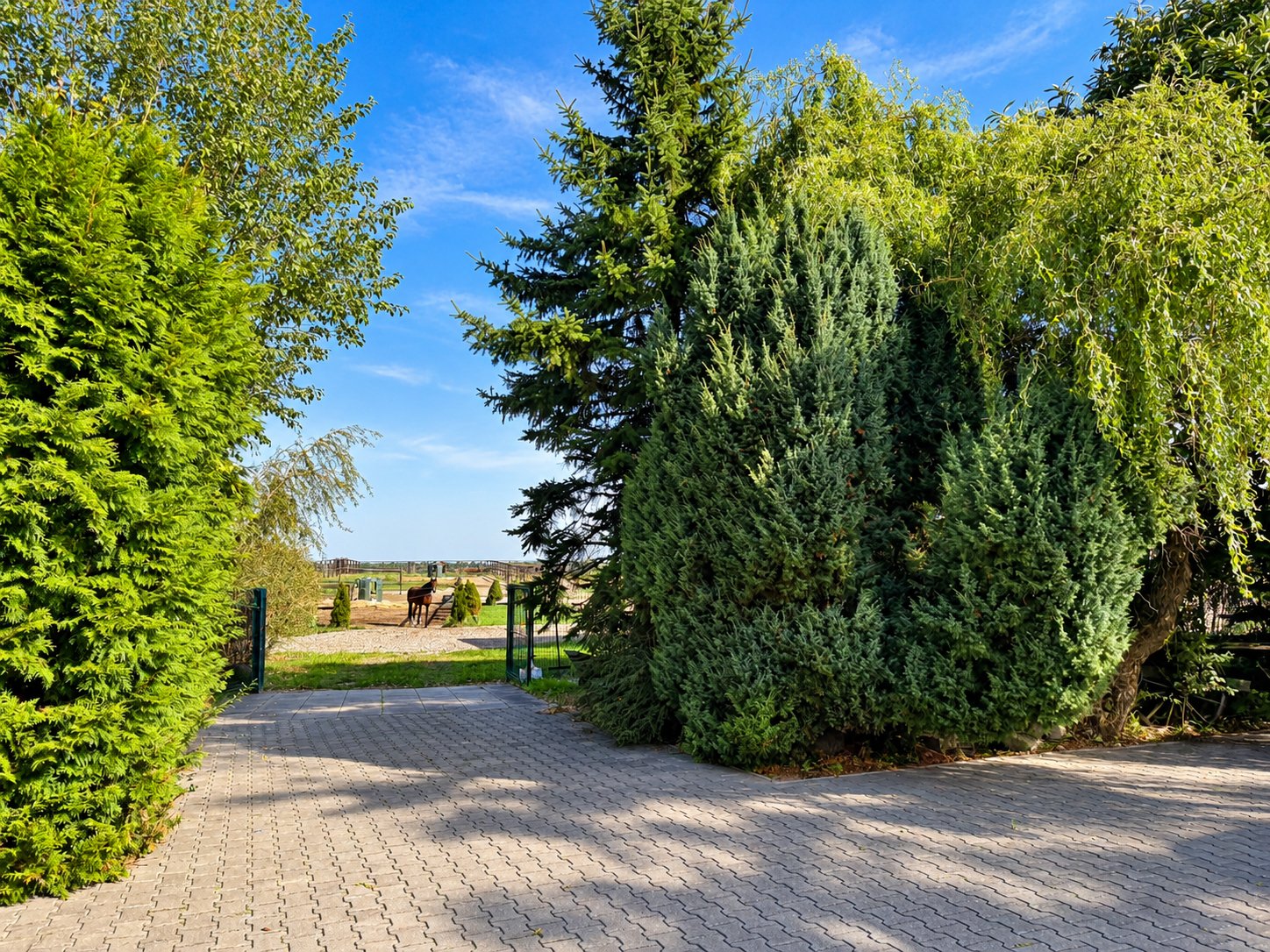 2622 Germany, Brandenburg, Berlin, Scharmützelsee, equestrian property, country estate, equestrian estate for sale