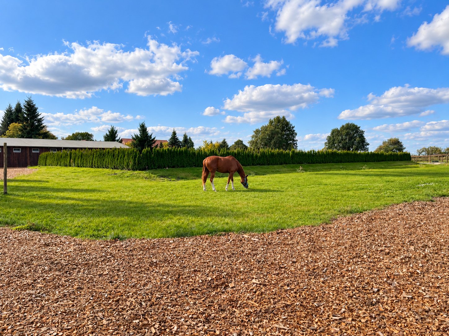 2622 Germany, Brandenburg, Berlin, Scharmützelsee, equestrian property, country estate, equestrian estate for sale