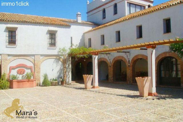 Country hotel Carmona Sevilla Andalusia for sale - the patio