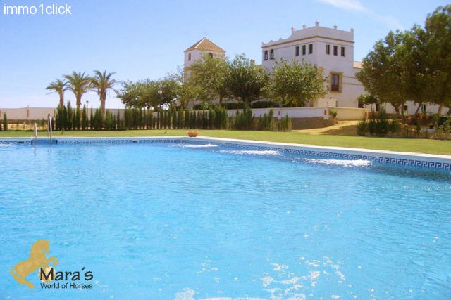 Hacienda Hotel Sevilla Andalusia for sale - garden and pool