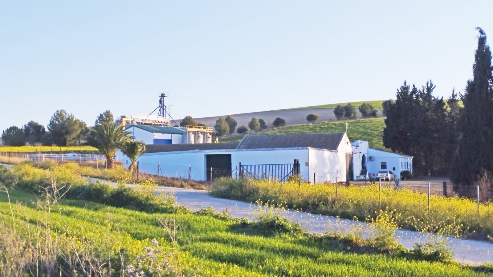 Ref2410 Andalusien, Provinz Cadiz, Bornos - Finca mit viel Land zu verkaufen