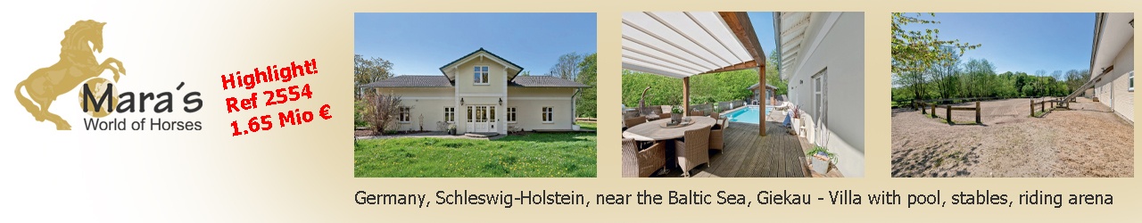 Maras World Solutions S.L.